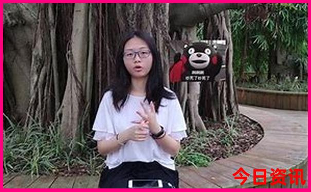 暑假适合带老人旅游的地方